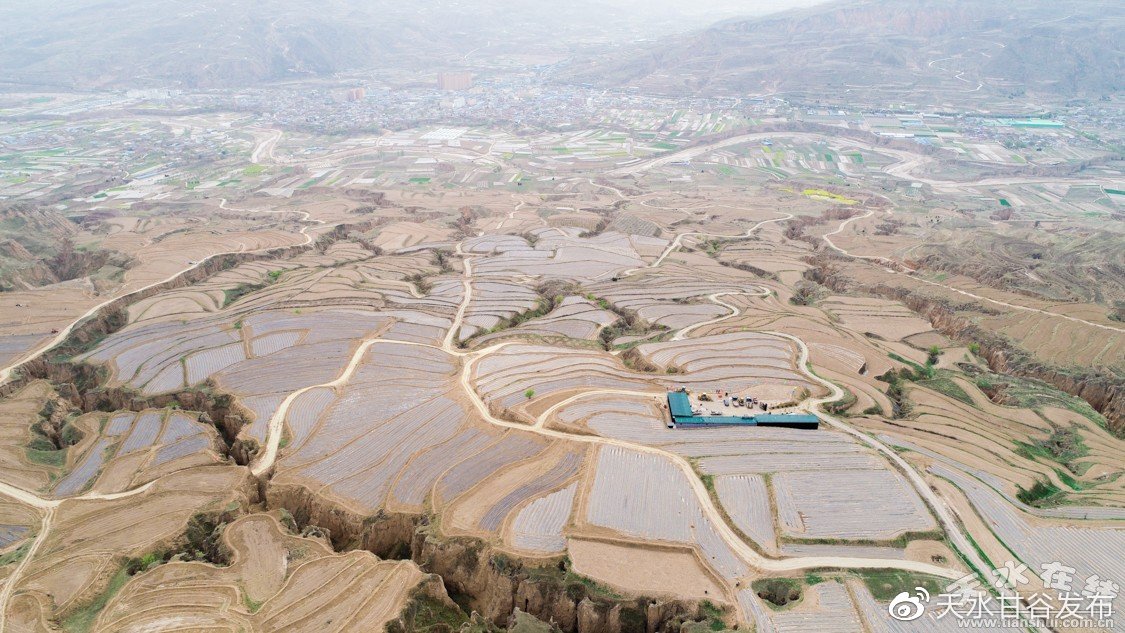 抖音自助下单平台app下载：短视频推广助手工具免费安装指南_dy低价下单