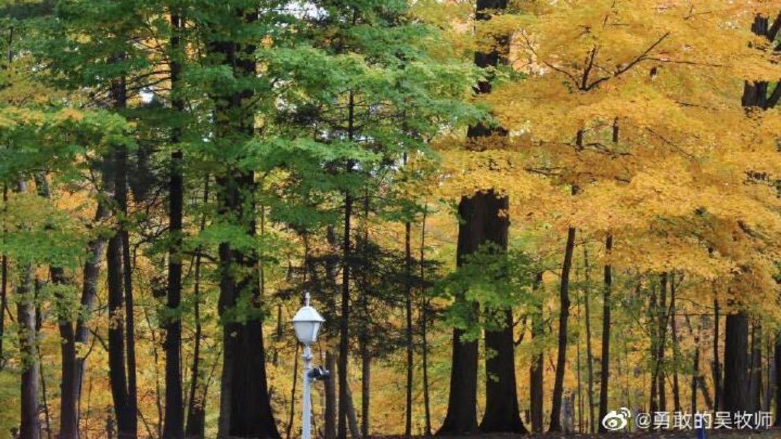 抖音业务自助下单 热门：短视频营销新策略