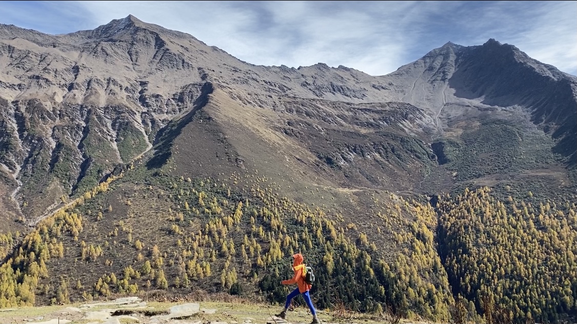 全网最低业务自助下单平台